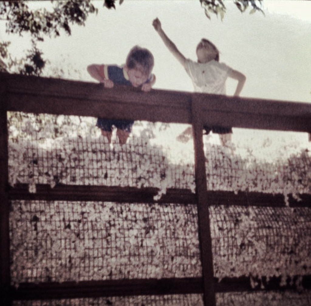 Kids in a Cotton Trailer